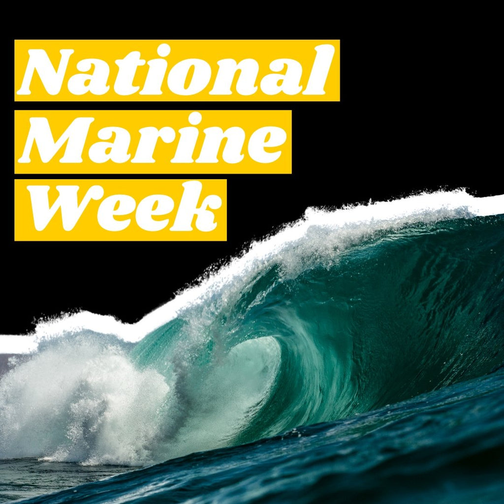National Marine Week - One Wear Freedom