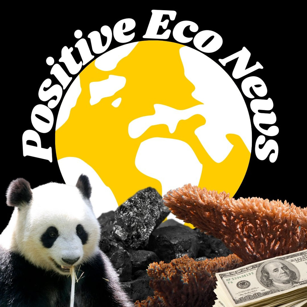 Positive Eco News - One Wear Freedom